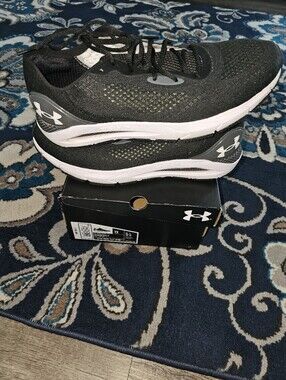 Men's Under Armour Shoes 12
